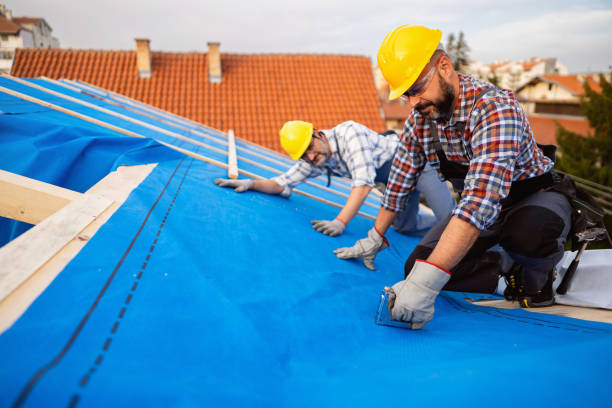 Best Storm Damage Roof Repair  in Fair Plain, MI